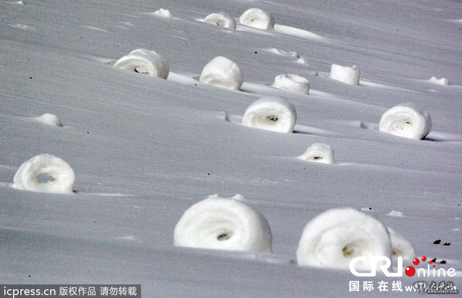 美国中西部现奇异雪卷 似精灵玩雪(高清组图)