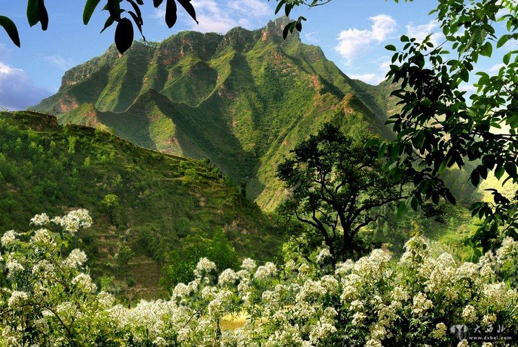 刑天葬首之地——西和仇池山