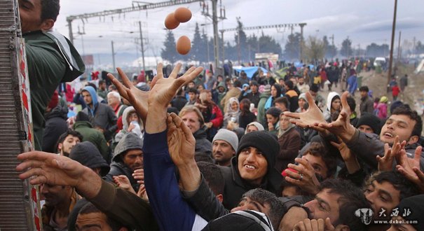 滞留希腊边境移民哄抢食物 鸡蛋“从天而降”
