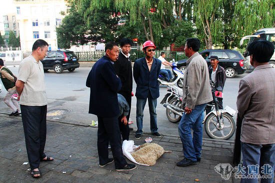 这里的小羊羔肉细嫩味美