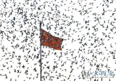 昨日，国旗冉冉升起后，1万只和平鸽被放飞。新华社发 （王申 摄）