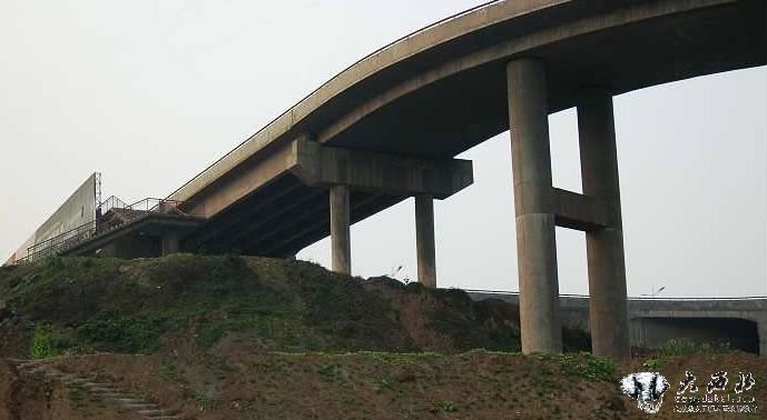 宜宾高庄桥