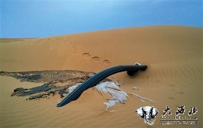 在一些洼地，可以看到一根根直接插入沙里的黑色橡胶管道，这些管道周边的细沙呈黑色。踢开表面，下面是散发着臭味的黑色凝结物。
