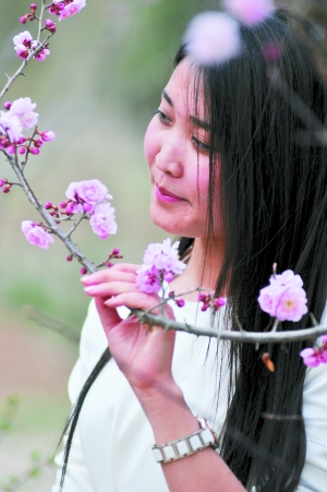 兰州桃花节今日开幕