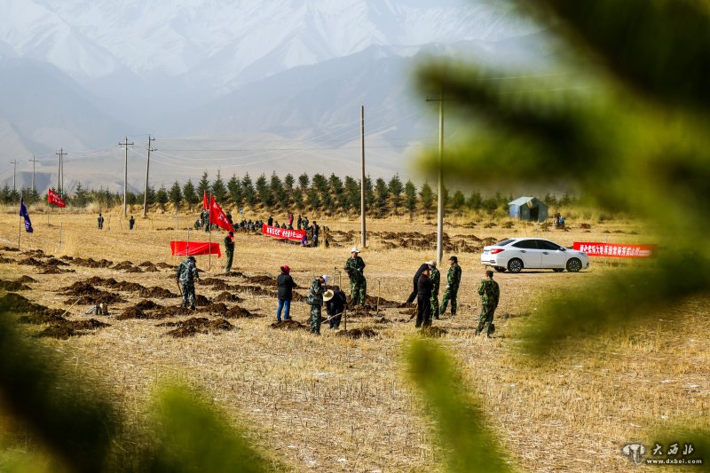 甘肃：祁连山下千人春季植树忙