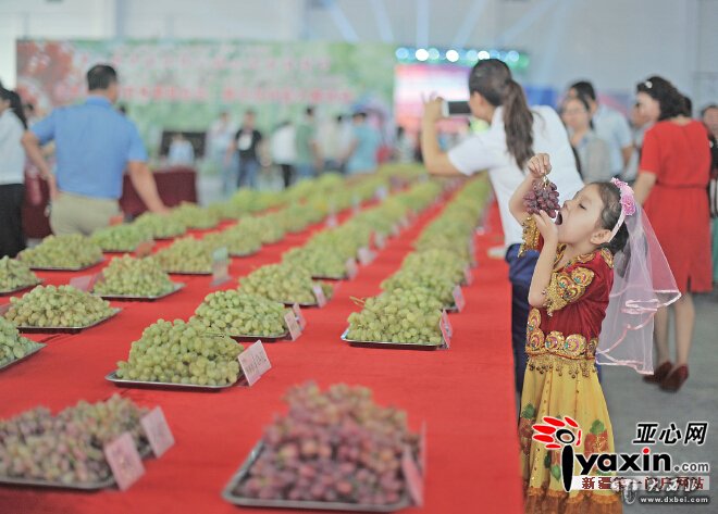 第二十四届中国丝绸之路吐鲁番葡萄节开幕