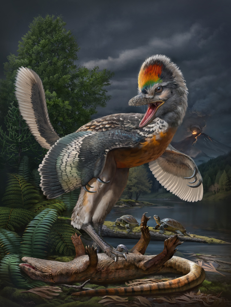 福建首次发现恐龙化石